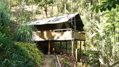 Luxury Tent Twin Bed