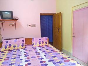 Standard Double Bed