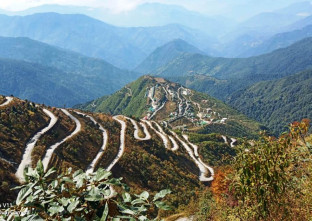 Pedong Homestay in Pedong
