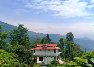 Pujan Homestay Orange Valley in Sittong