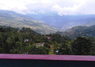 Basnet Homestay in Mairung Gaon