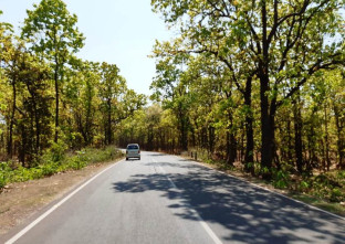 Nandini Homestay in Jhargram