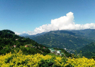 Malinggo Homestay in Gangtok