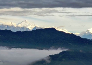 Golden Pine Homestay in Kalimpong