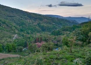 Aachuley Homestay in Darjeeling-City