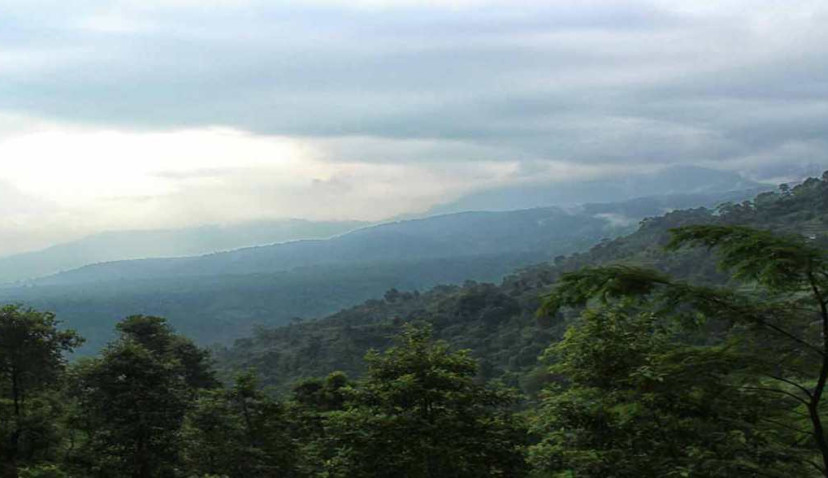 Kumai