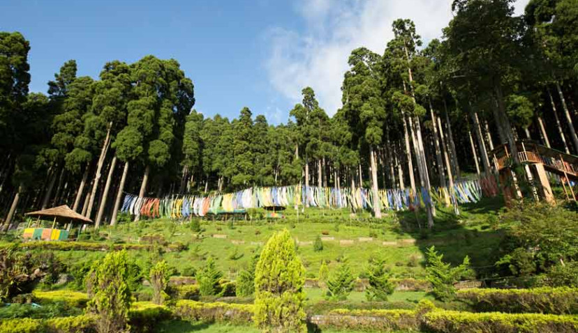 Scenic mountain valley view on Darjeeling Lamahatta Tinchuley tour