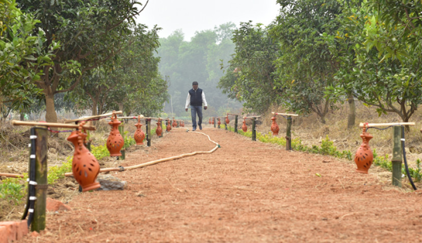 Hookkahooya Adventure Camp