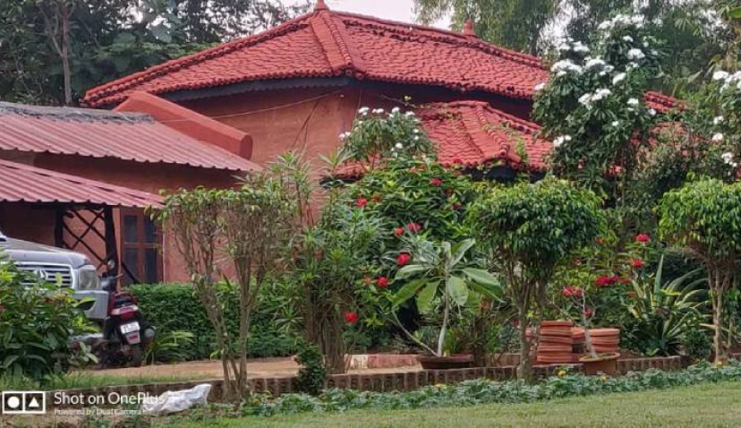 Front View