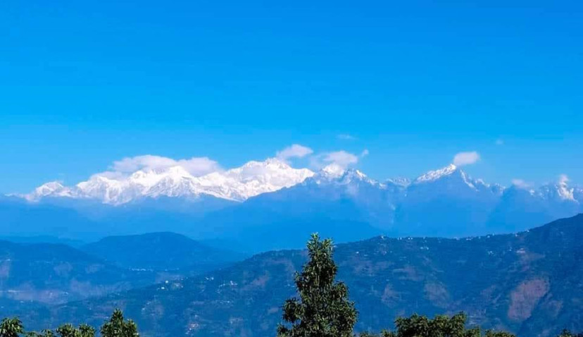 View