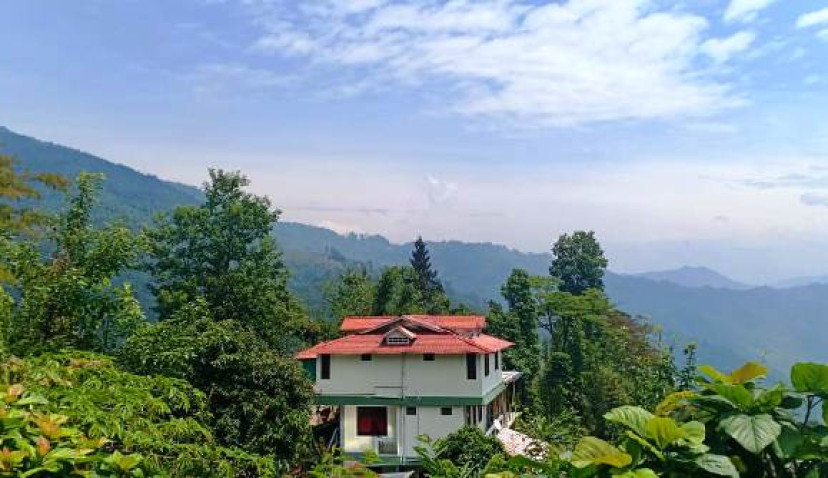 Homestay