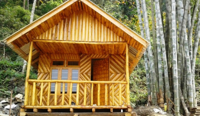 Golden Pine Homestay